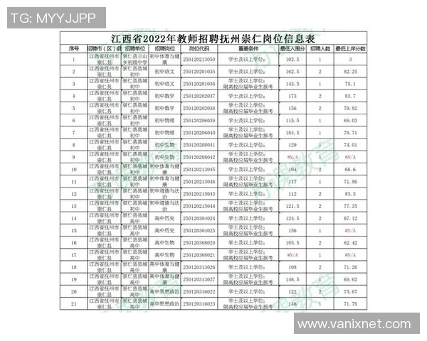 重庆排球队在世界杯预选赛中的个人能力表现分析与点评