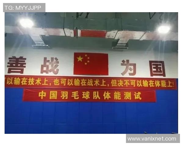 南京羽毛球队近期状态分析及比赛表现评估报告